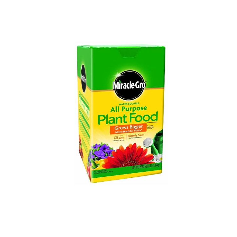 MiracleGro Growing Kit Flowers Wayfair Canada